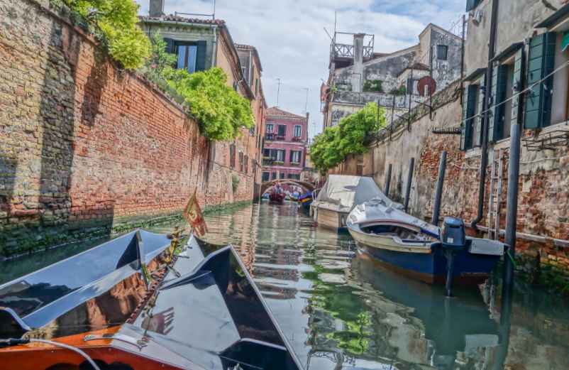 Que voir à Venise en 1 semaine en 2026 ?-Terra America