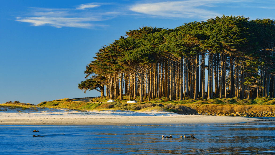  Beyond the matches: Natural, scenic Monterey County is a perfect change of pace 