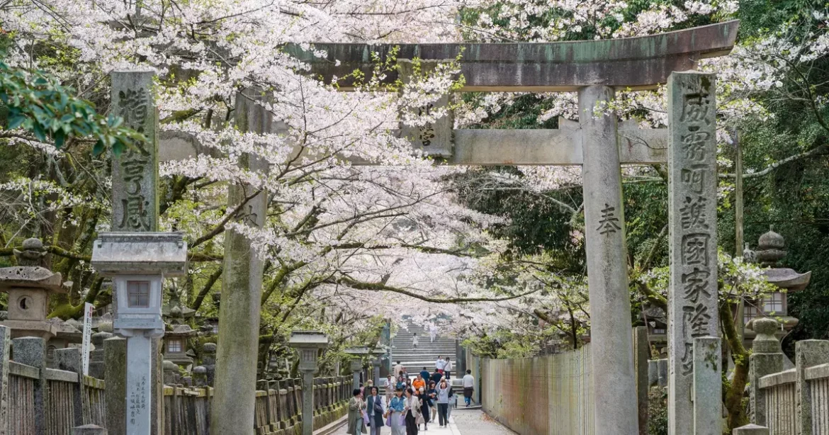 15 of the best things to do in Shikoku, Japan