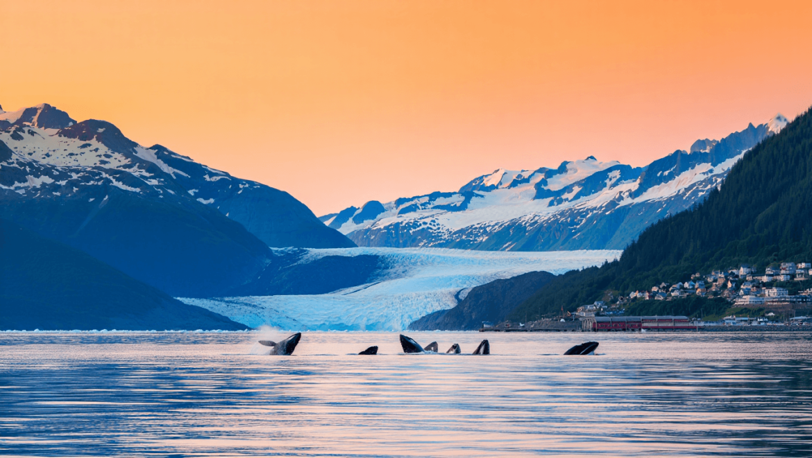 11 of the best things to do in Juneau, Alaska