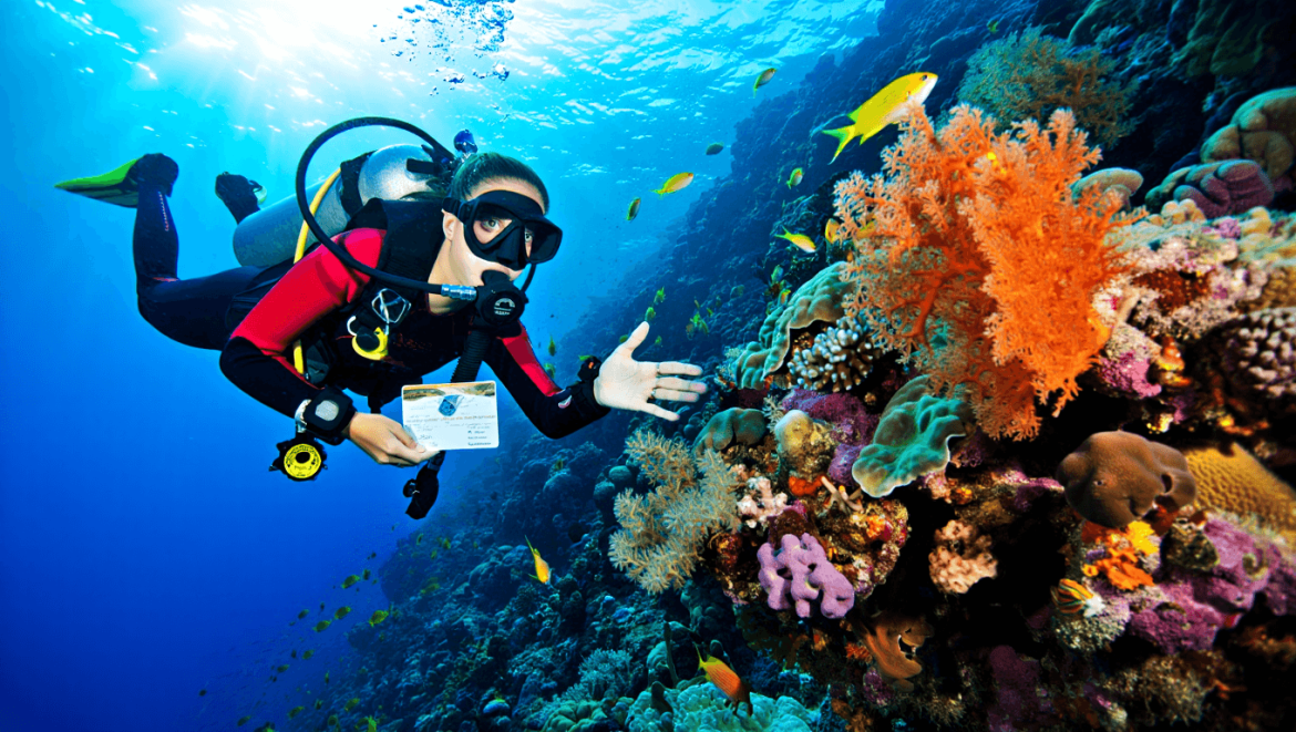 The world’s 10 best places to learn to scuba dive
