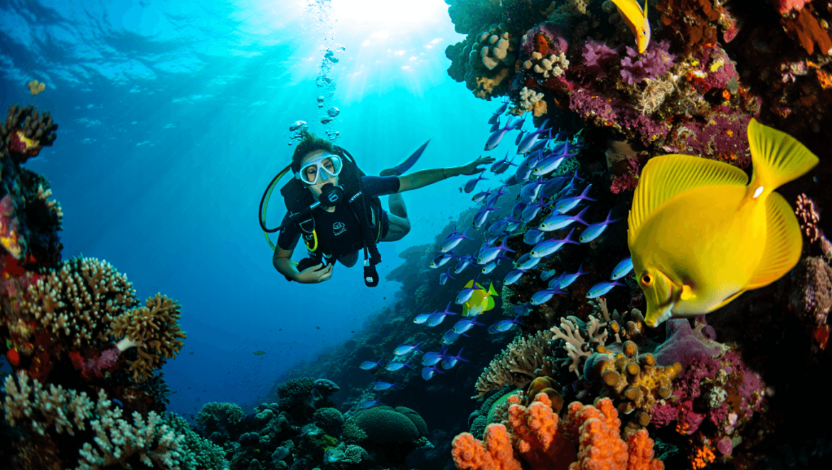 A guide to diving and snorkeling in Indonesia