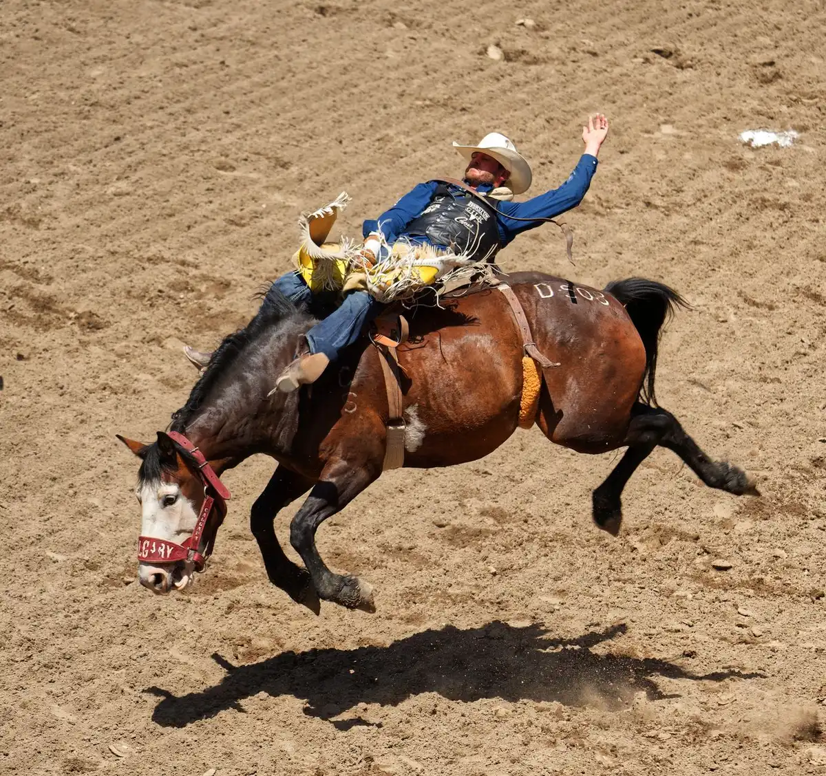 Ambiance festive du Calgary Stampede en été avec foules et attractions