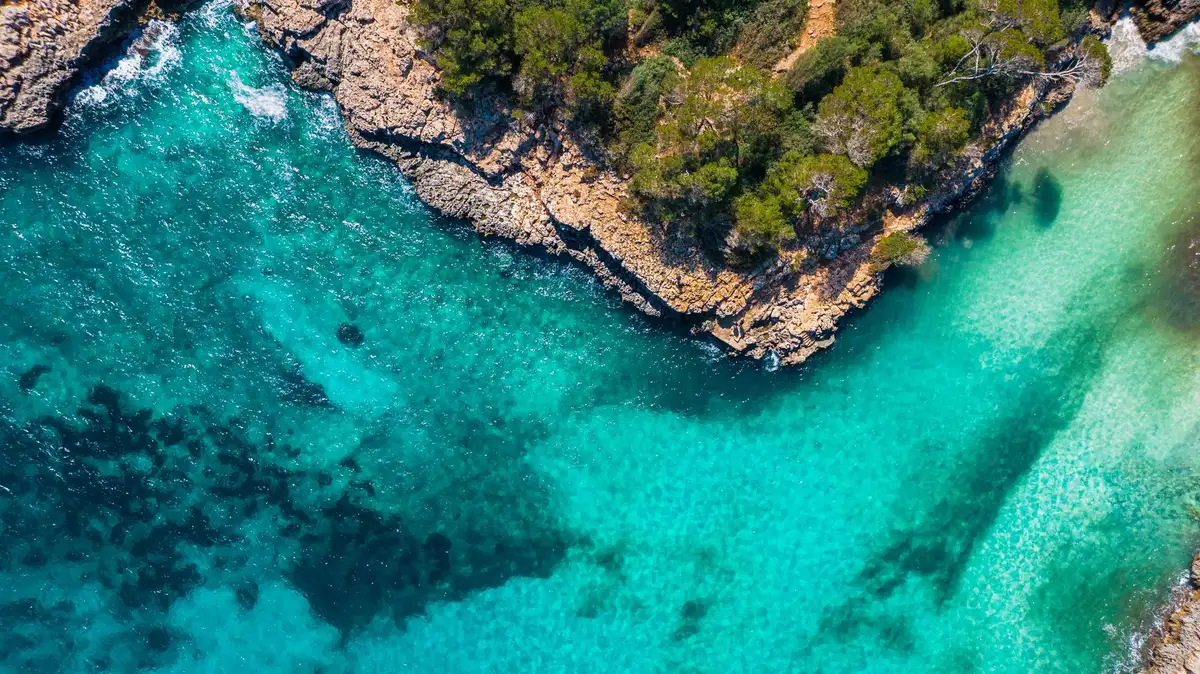 Criques turquoise bordées de falaises calcaires et de pins méditerranéens