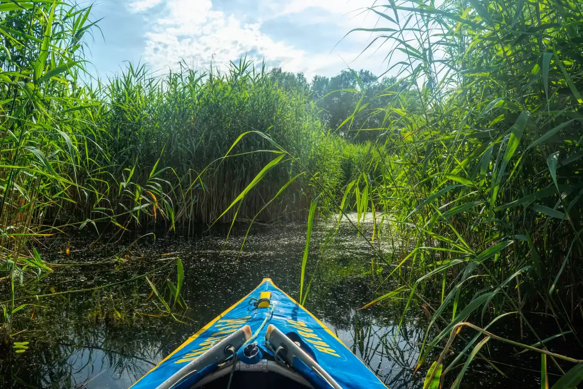 Kayak navigant sur les voies navigables verdoyantes du delta du Paraná