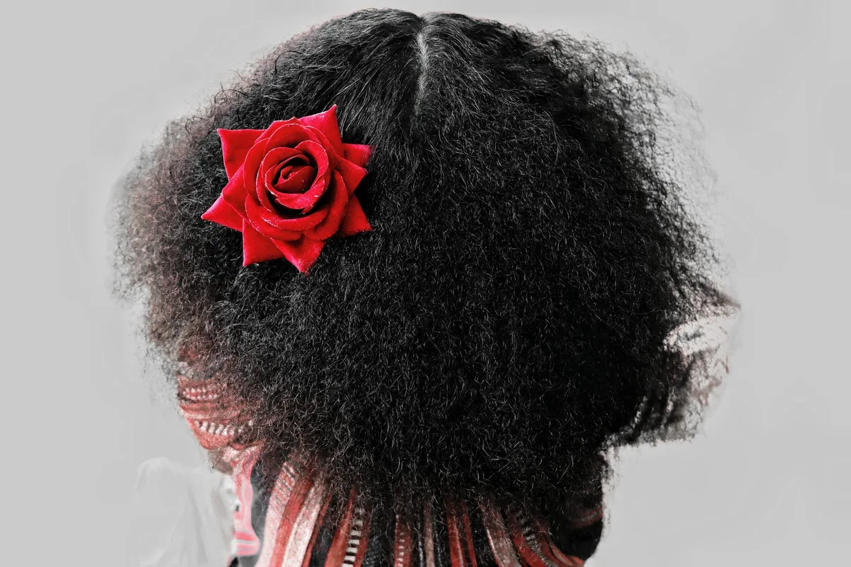 Différents types de cheveux : fins, épais et bouclés