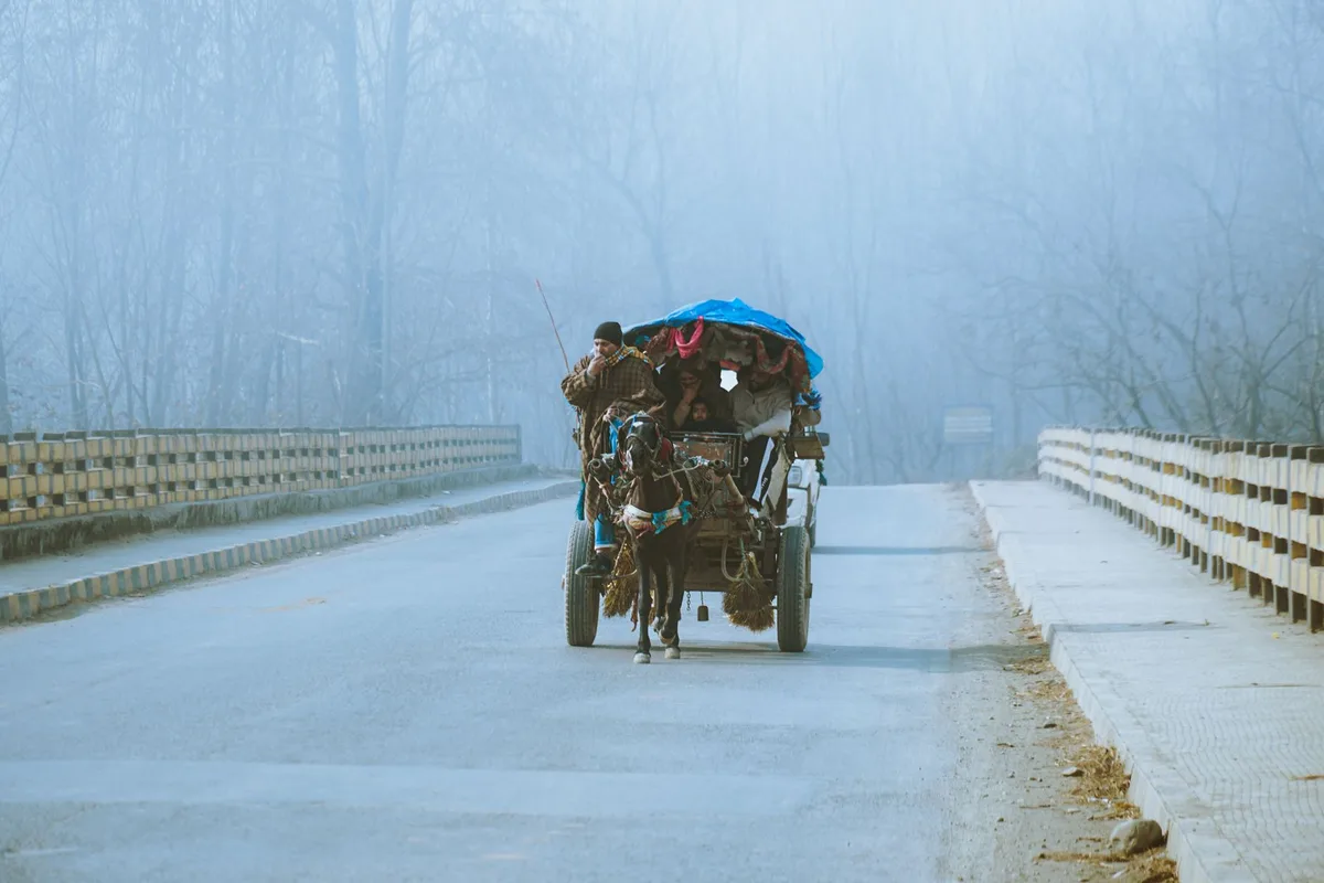 Charrette traditionnelle tirée par un cheval sur un chemin de village