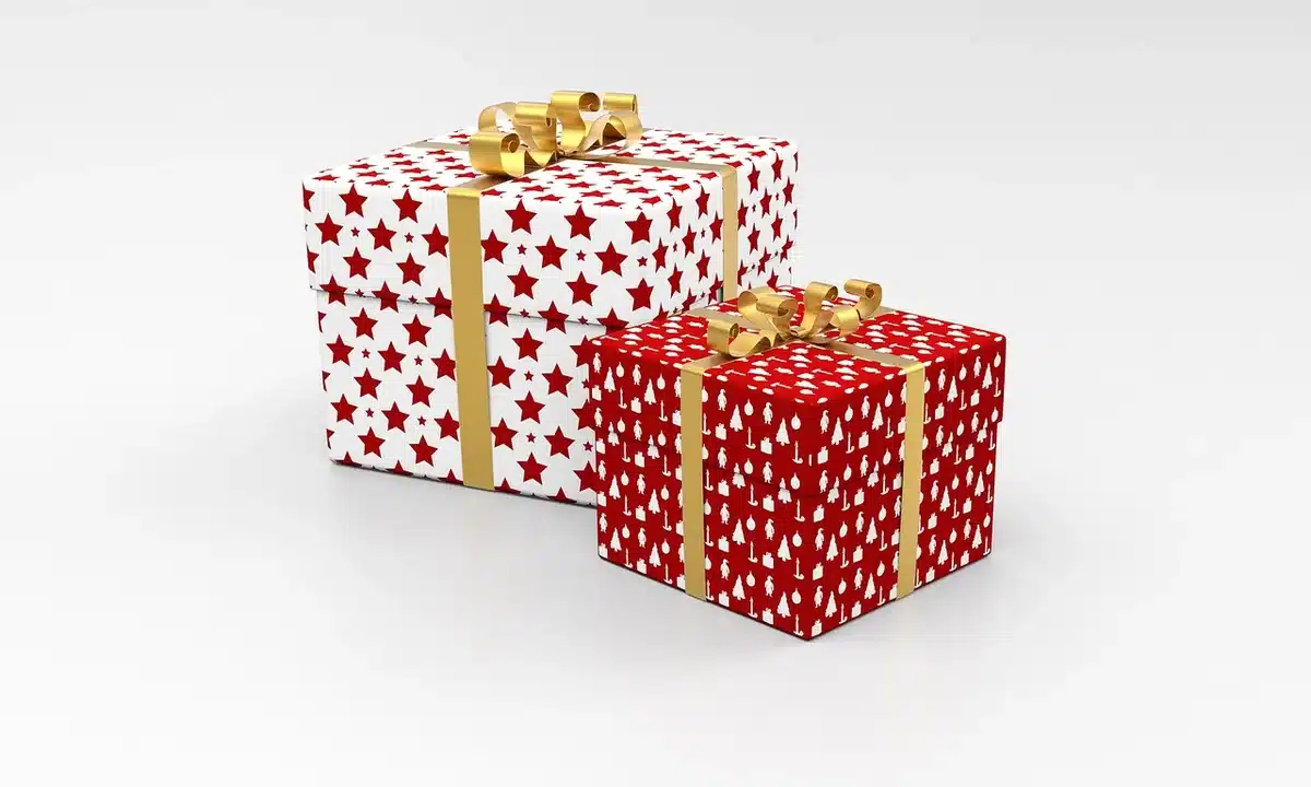 Carton et cubes de rangement prêts pour l'expédition
