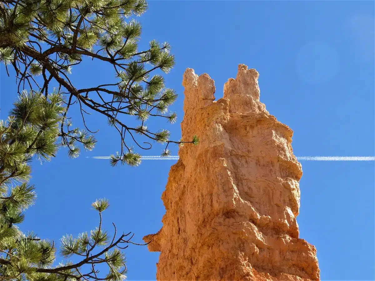 Route en journée près de canyons rouges en Utah avec panoramas rocheux