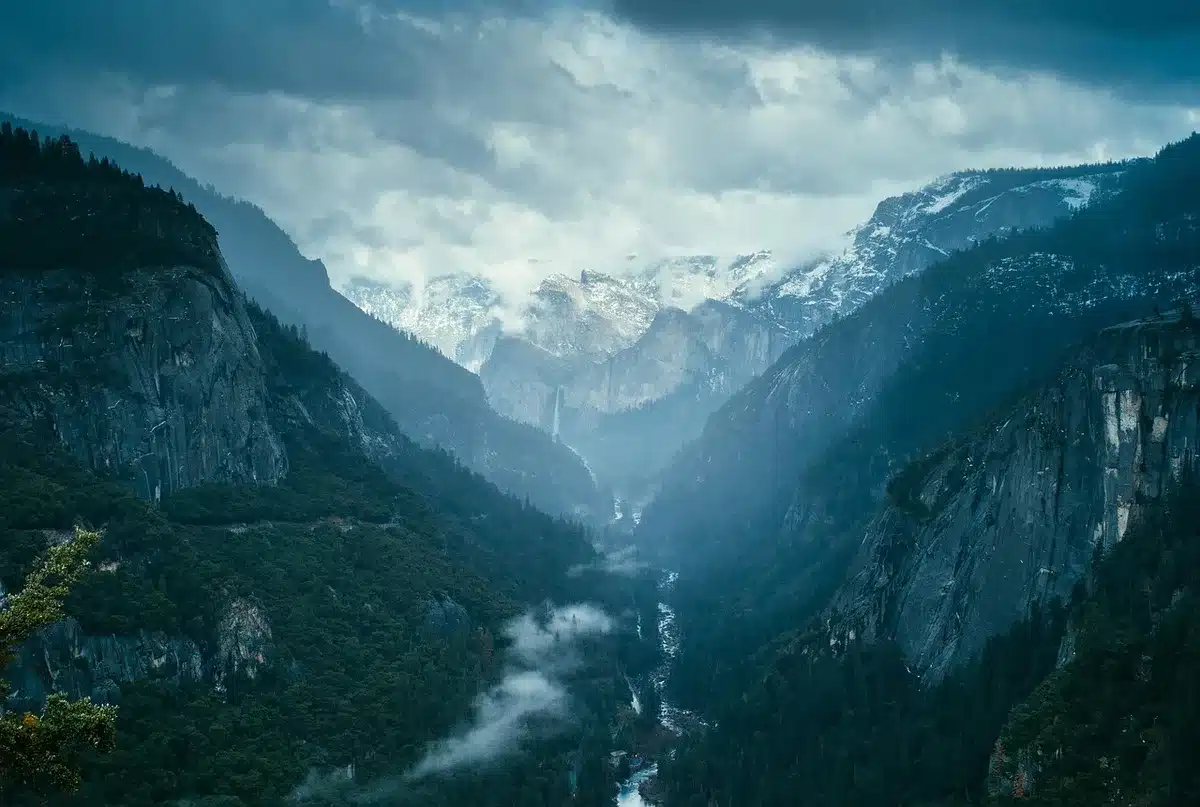 Vue panoramique d'un parc naturel américain avec montagnes et forêt