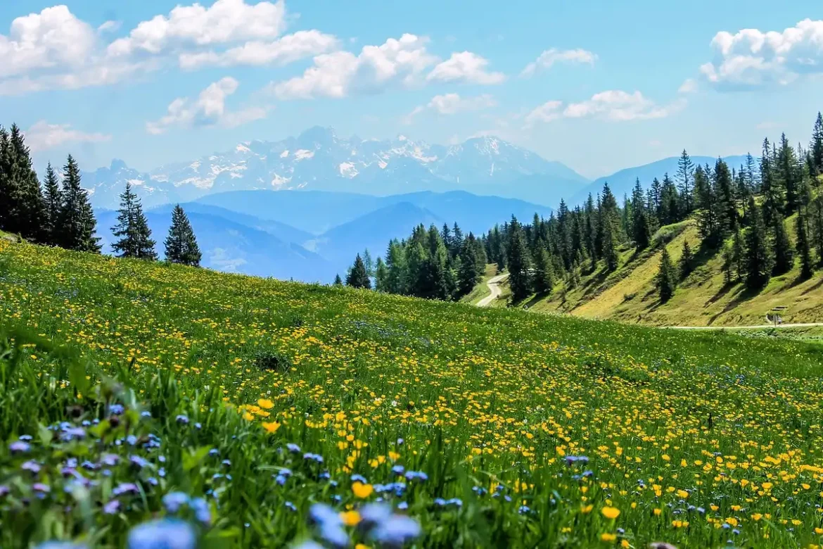Randonneur marchant sur un sentier de montagne avec des prairies alpines et des pics rocheux en arrière-plan