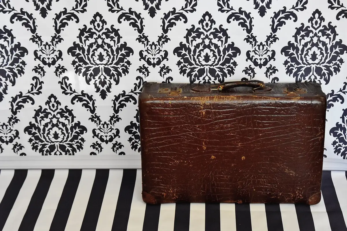Packing cubes disposés dans une valise pour séparer vêtements