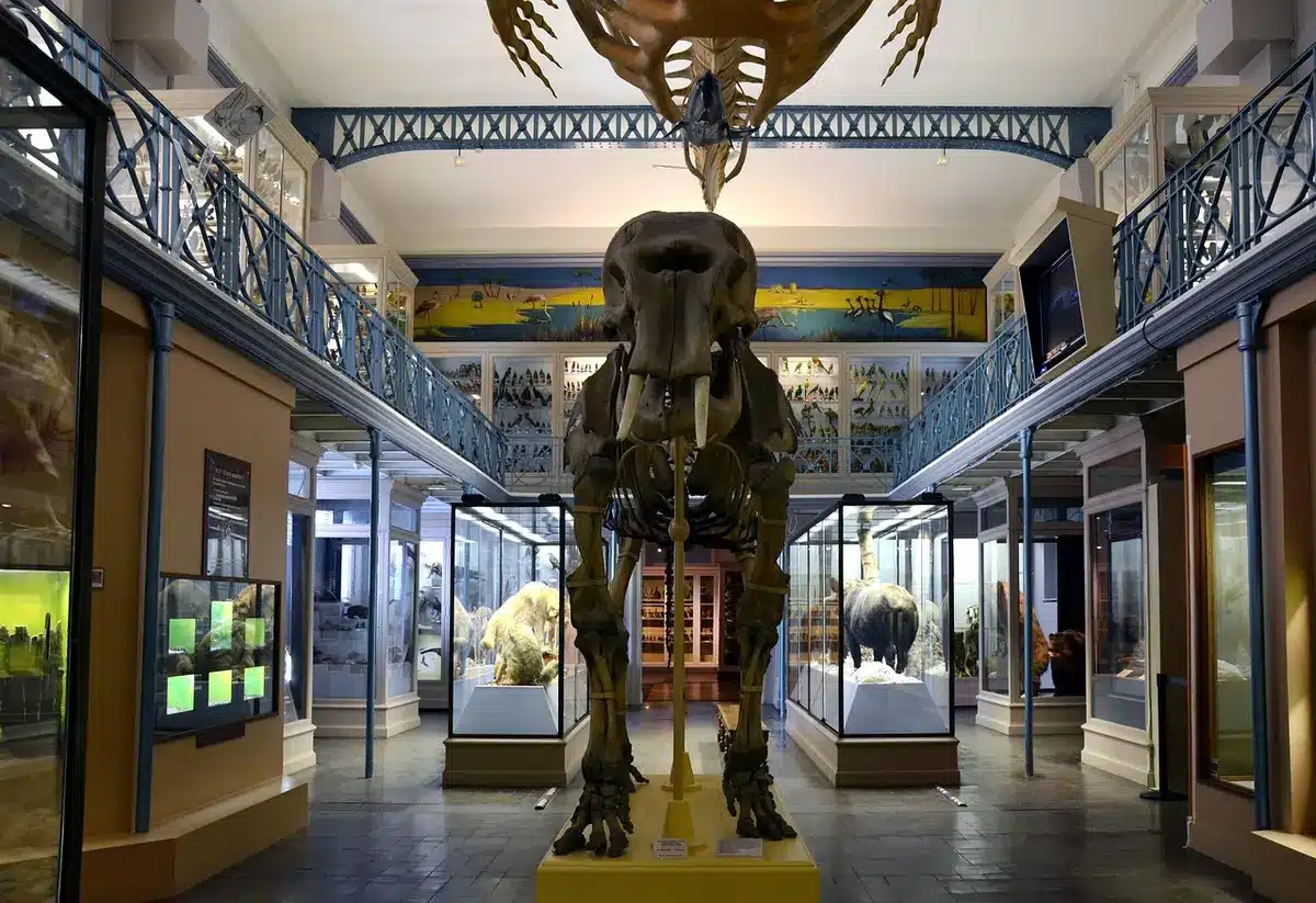 Vitrine d'exposition montrant costumes et objets d'un artiste, sans personnes identifiables